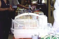 028-Pic031