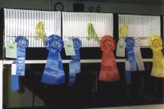 030-Pic033