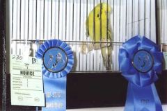 033-Pic036