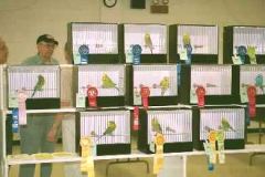 007-Pic089