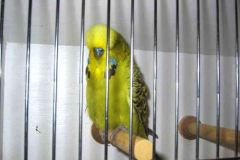 002-Pic002