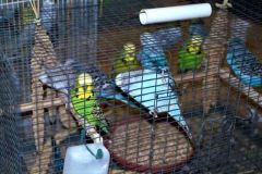 009-Pic009