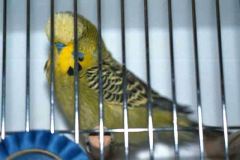 011-Pic011