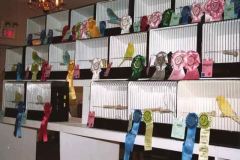 041-Pic041