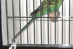 001-Pic001