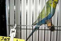 004-Pic004