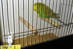020-Pic020