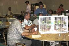 029-Pic029