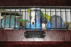 2008 Show