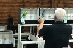 2019 Show