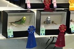 006-img_2579